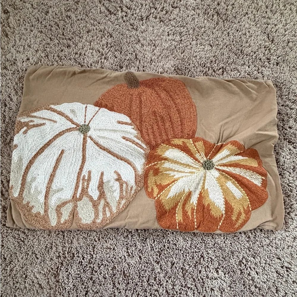 Pottery Barn pumpkin embroidered lumbar pillow cover 16 x 26 Tan orange cotton